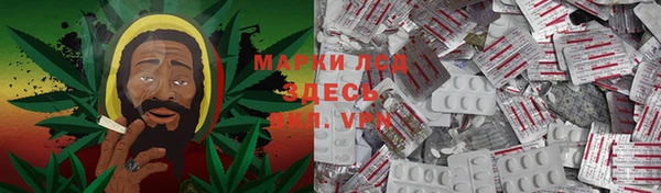 прущие грибы Абдулино